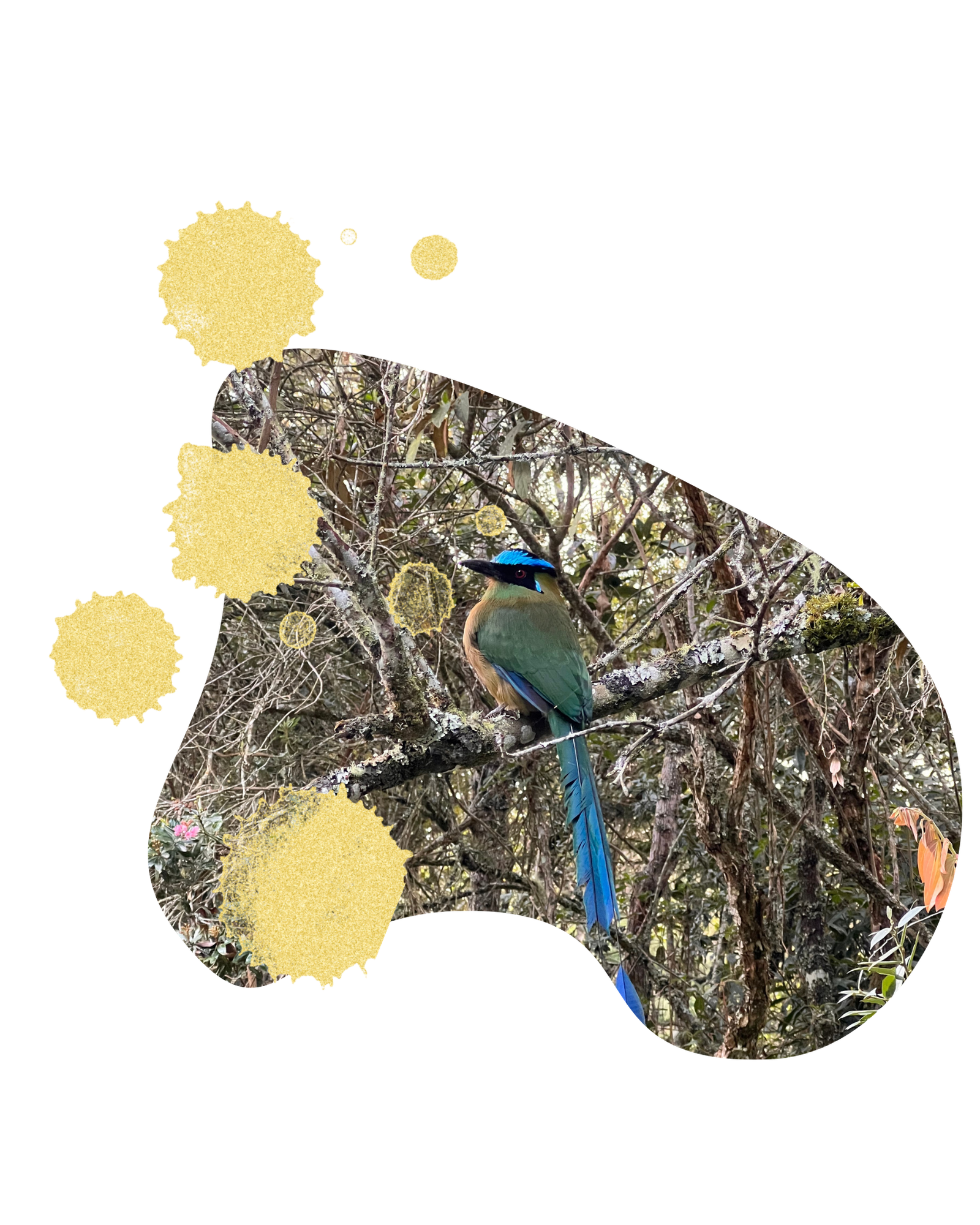 Foto a little bit of personal history